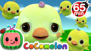 Thumbnail for Five Little Birds 2 + More Nursery Rhymes & Kids Songs - CoComelon