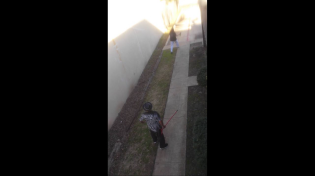 Thumbnail for Crackhead neighbors fight with brooms | Sr Danielsan