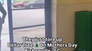 Thumbnail for Niggercar vs Dollar Tree Wall