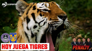 Thumbnail for Hoy juega Tigres ante el Mazatlán | Penalty