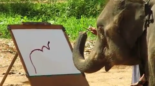 Thumbnail for Did you know elephants can paint better than hunter biden?
