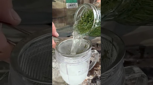 Thumbnail for Making Sprite from Pine Needles! | Bruce Mitchell