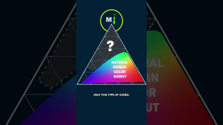 Thumbnail for 5 People Just Saw A New Color. How? | Cleo Abram