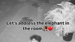 Thumbnail for Conspirologist spotted