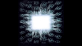Thumbnail for TOOL - Hooker With A Penis