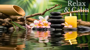 Thumbnail for Bamboo Water Fountain 24/7 🎶 自然の音とともに音楽をリラックス バンブーウォーターファウンテン | Peaceful Moments