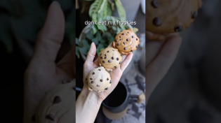 Thumbnail for No Cookies for You | SorrelsSouls