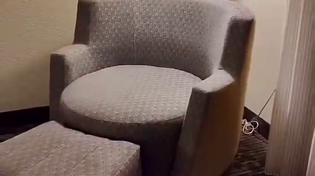 Thumbnail for Bushcuck is going to love this 