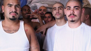 Thumbnail for Gangs in Control of American Prisons: 