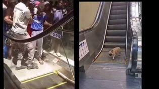 Thumbnail for Racist escalator 