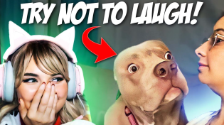 Thumbnail for Try Not To Laugh Challenge! (TikTok Edition) | DareBearLive