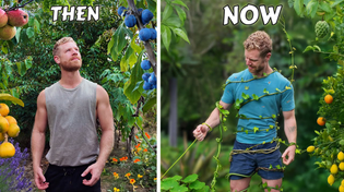 Thumbnail for I abandoned my food forest… Here’s what happened | TheKiwiGrower