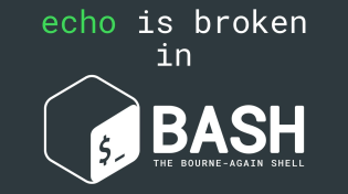 Thumbnail for bash's echo command is broken | Computing: the Details