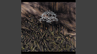 Thumbnail for Forgiveness in Rot | Krallice - Topic