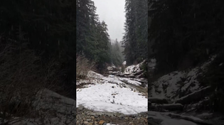 Thumbnail for POV: 10/10 bleed out spot | FunnyMemeSpot Backup