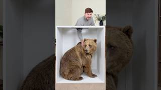 Thumbnail for Guess the Animal | MrBeast