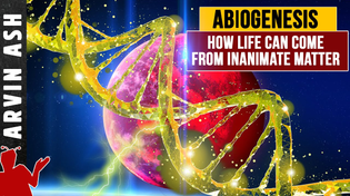Thumbnail for How did life begin? Abiogenesis. Origin of life from nonliving matter. | Arvin Ash