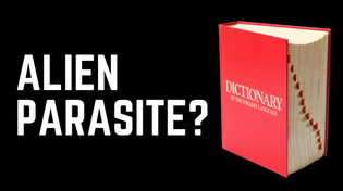 Thumbnail for Language Has a VERY DARK Secret (I’ll Prove it) | Chase Hughes