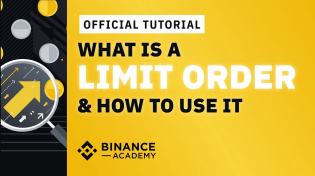 Thumbnail for What is a Limit Order & How to Set It on Binance｜Explained For Beginners | Binance Academy