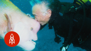 Thumbnail for Aquatic Affection: How a Scuba Diver Found a Good Friend Under the Sea | Great Big Story