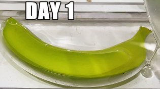 Thumbnail for Banana After 180 Days In Epoxy Resin | What Happened? | Waterjet Channel