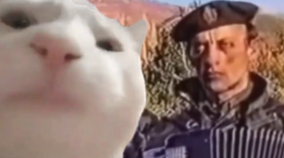 Thumbnail for Cat Vibing to Remove Kebab or Serbia Strong | GekonZ
