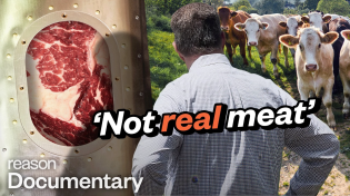 Thumbnail for Why lab-grown meat is so controversial | ReasonTV