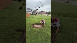 Thumbnail for Fixing a Bare Spot in the Lawn | The Lawn Tools