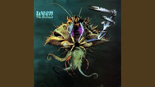 Thumbnail for The Golden Eel | Ween - Topic