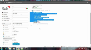 Thumbnail for Solr Indexing Sample Docs to solr core and searching with various filter query options | Learn Technology