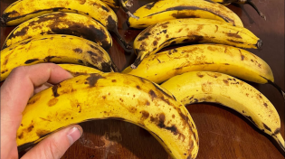 Thumbnail for Do Bananas Absorb Potassium From Their Peels As they Ripen? | Cody'sLab