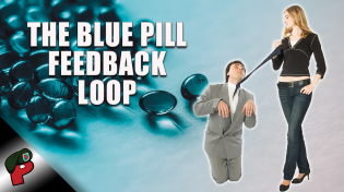 Thumbnail for Blue Pill Feedback Loop | Popp Culture