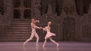 Thumbnail for Sugar Plum pas de deux Adagio (Nuñez, Muntagirov, The Royal Ballet) - The Nutcracker