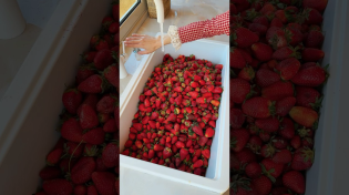 Thumbnail for Strawberry jam 🍓#abirzkitchen #strawberry | Abirz Kitchen