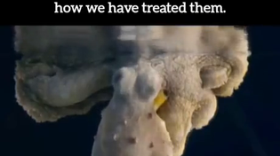 Thumbnail for amazing