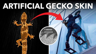 Thumbnail for The Stickiest *Non-Sticky* Substance | Veritasium