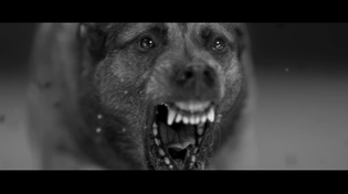 Thumbnail for Woodkid - Iron (Official Video) | WOODKID
