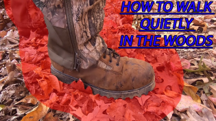 Thumbnail for Your biggest mistake when walking through woods... Explained | David Dudley Outdoors