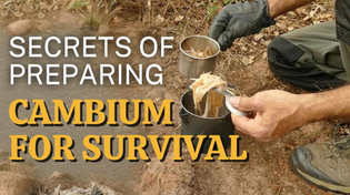 Thumbnail for Learn this technique to never go hungry again! | Survival Academy