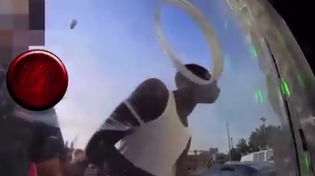 Thumbnail for Classic White Power