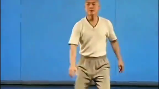 Thumbnail for Peak martial artist