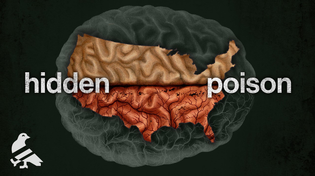Thumbnail for How half the US lost part of their minds | Howtown