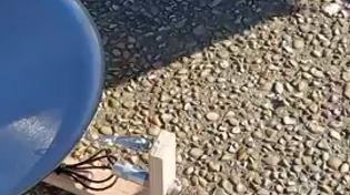 Thumbnail for Bird feed beats