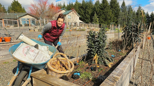 Thumbnail for First Big Planting DAY!! Starting My 2026 Garden and Planting All the Potatoes! | Acre Homestead