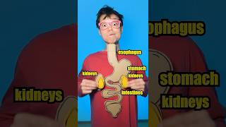 Thumbnail for How is Pee Made? 💦 #learn #kids #shorts | DarDar - SuperHero