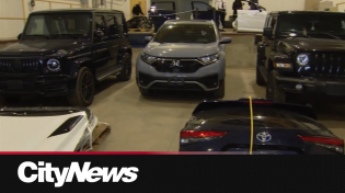 Thumbnail for Service Ontario workers allegedly involved in major auto theft ring | CityNews