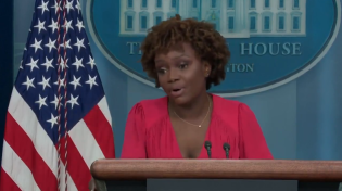 Thumbnail for Affirmative action White House press nigger can’t answer basic questions