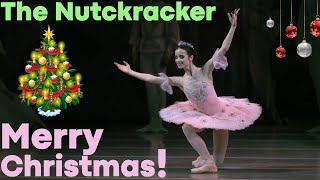 Thumbnail for Dance of the Sugar Plum Fairy from The Nutcracker (Mariinsky Ballet) | Maria Khoreva (ballet dancer public)