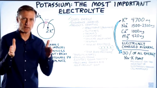 Thumbnail for POTASSIUM: The Most Important Electrolyte