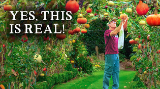 Thumbnail for He Grew a 40m (130ft) Edible Tunnel - Pumpkins, Pears & More! | Huw Richards